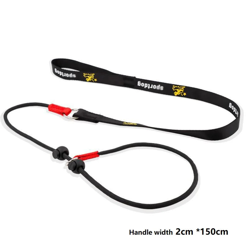 150cm P-Shaped Rope Control 2-in-1 Training Slip Lead Leash