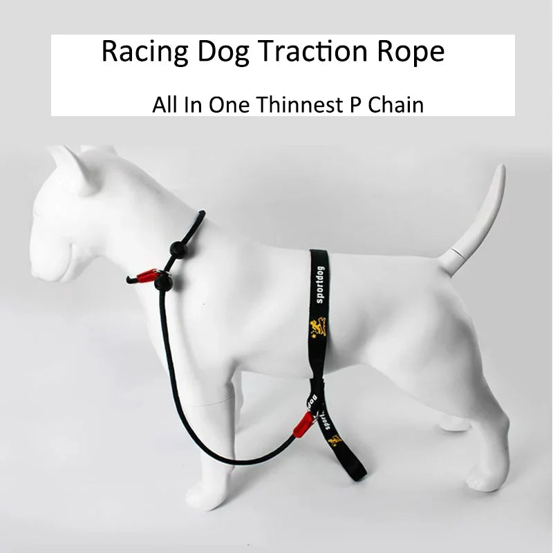 150cm P-Shaped Rope Control 2-in-1 Training Slip Lead Leash