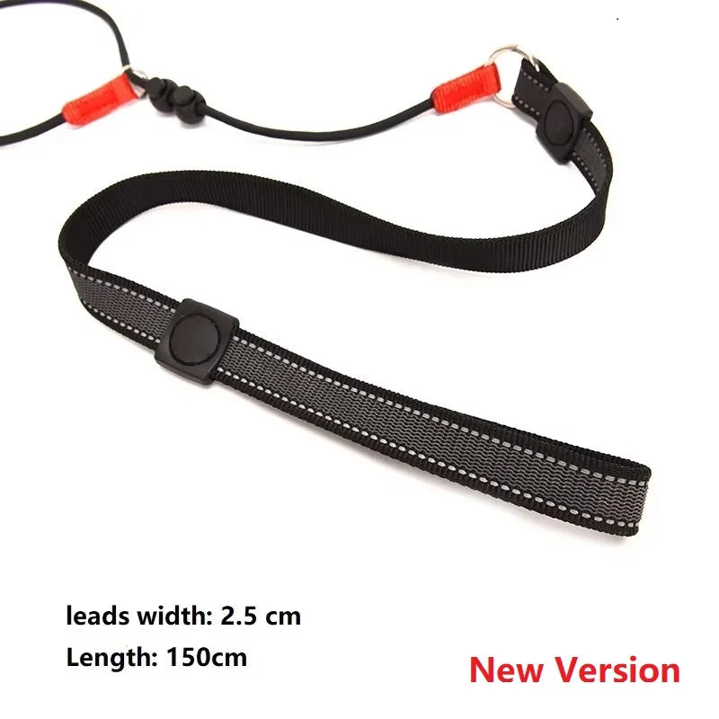 150cm P-Shaped Rope Control 2-in-1 Training Slip Lead Leash