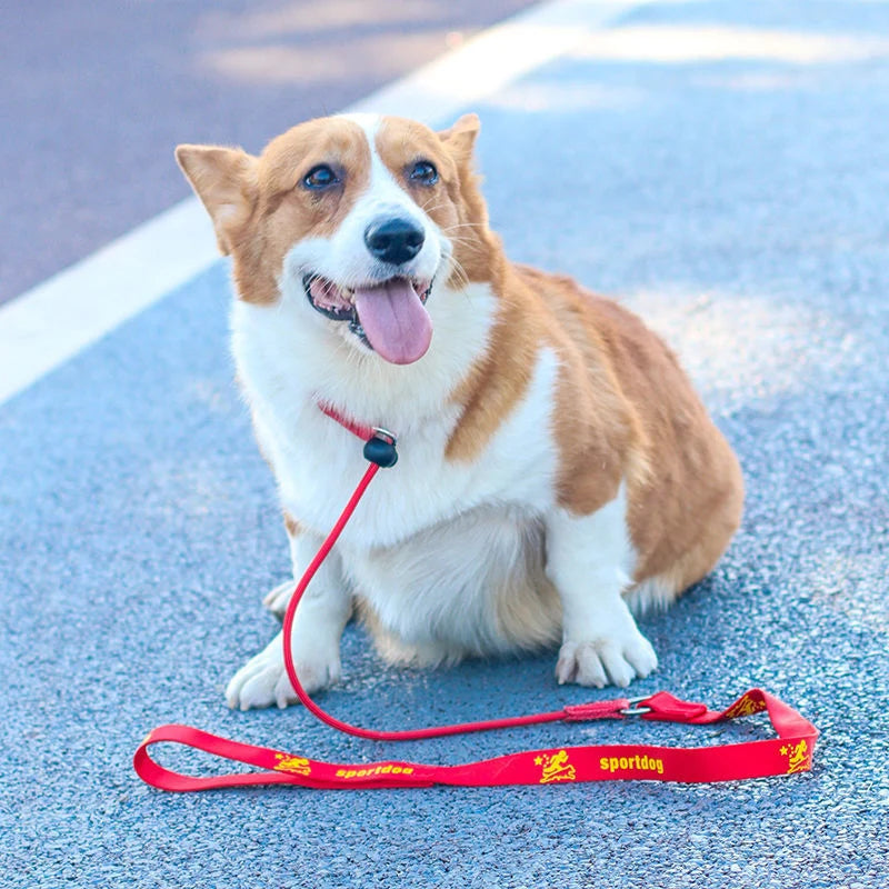 150cm P-Shaped Rope Control 2-in-1 Training Slip Lead Leash