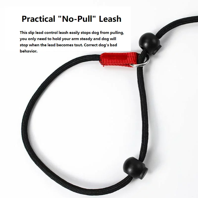150cm P-Shaped Rope Control 2-in-1 Training Slip Lead Leash