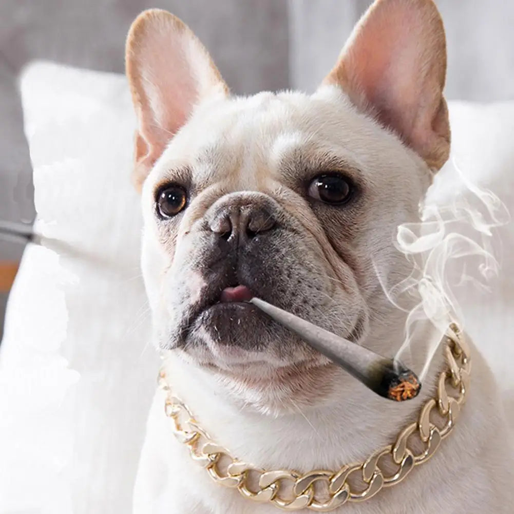Heavy-Duty Luxury Gold Metal Choke Chain Collar