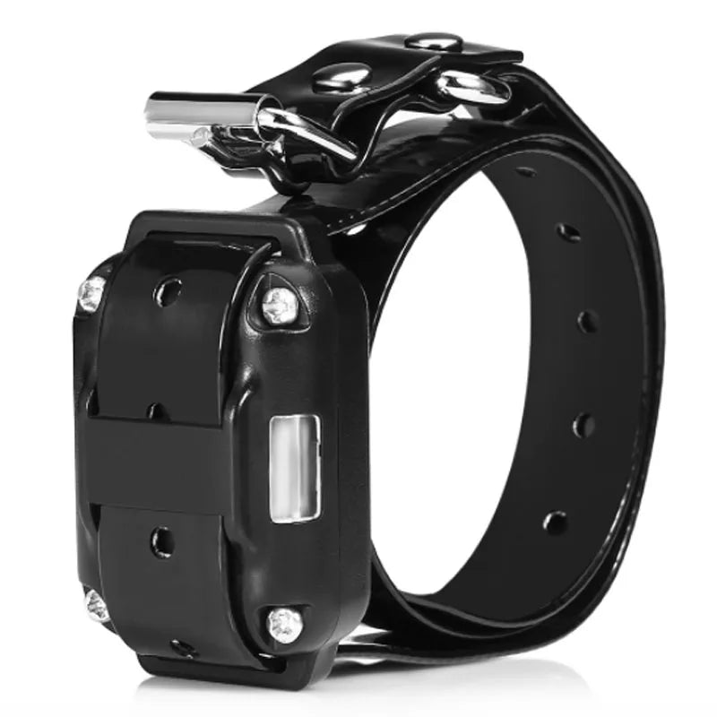 Remote-Controlled Rechargeable Waterproof Dog Training Collar