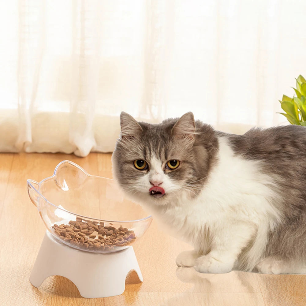 Transparent Food & Water Set with Stand for Cats & Dogs
