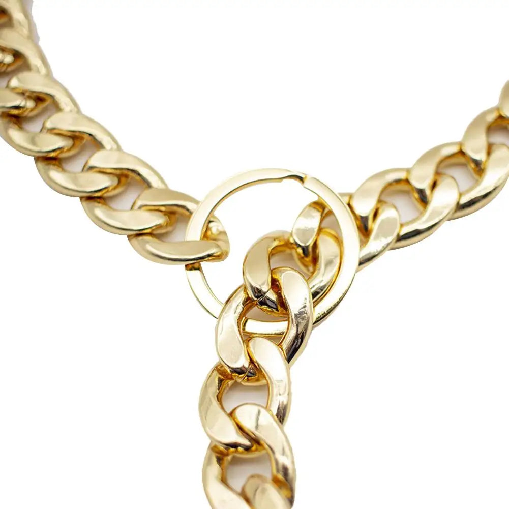 Heavy-Duty Luxury Gold Metal Choke Chain Collar
