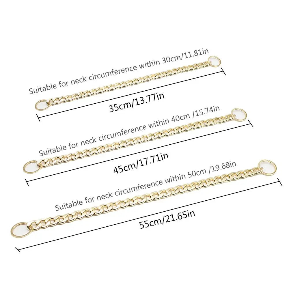 Heavy-Duty Luxury Gold Metal Choke Chain Collar