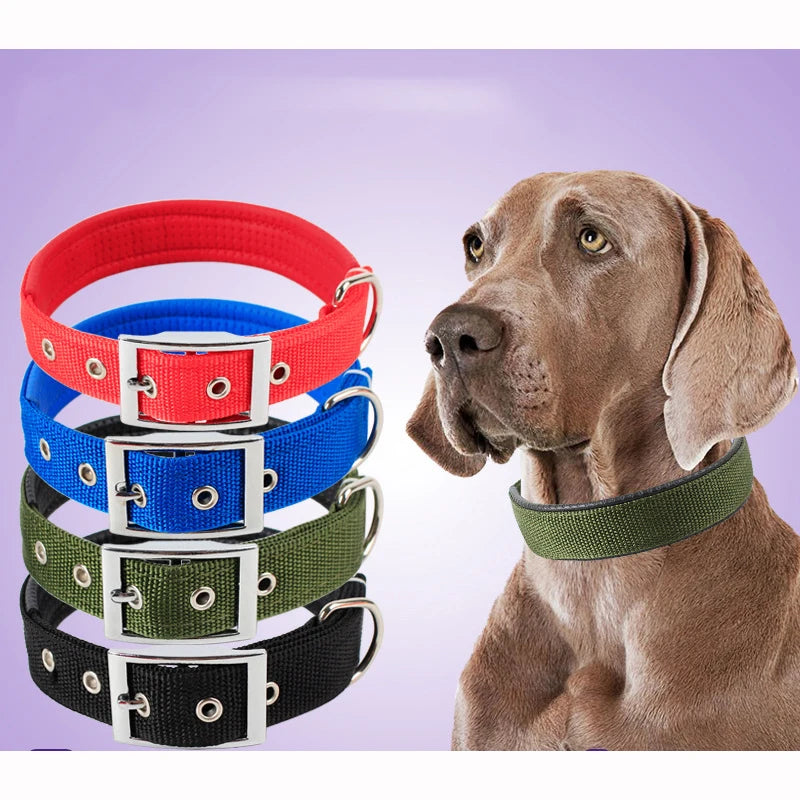 Adjustable Durable Solid Nylon Dog Collar
