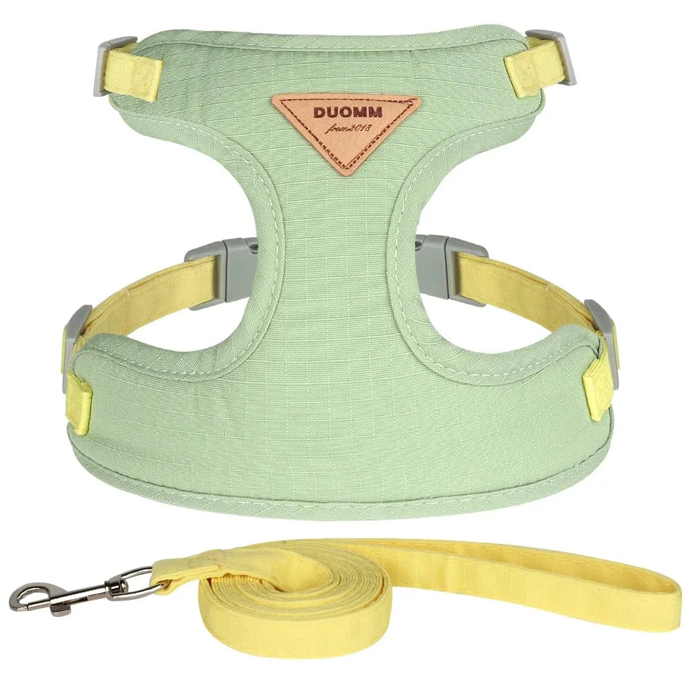 Detachable Pet Collar Cute Harness Accessory for Kittens & Cats