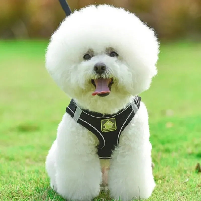 Reflective Pet Harness & Leash Set No-Pull Vest with Breathable Mesh