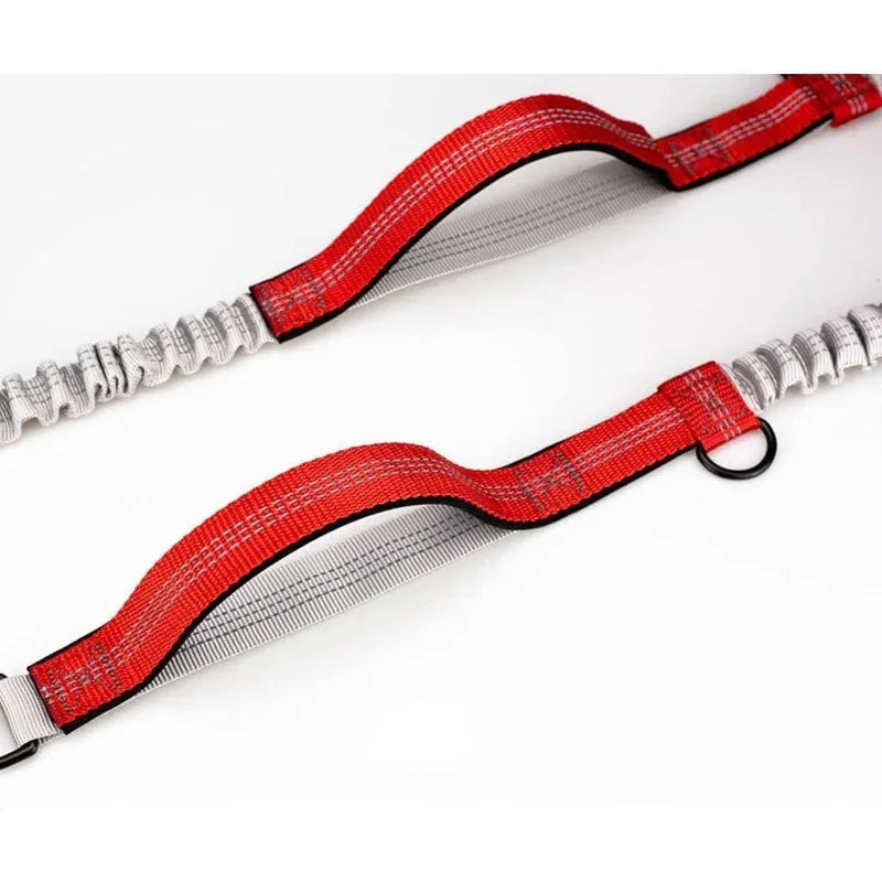 Extendable Pet Leash Dual Head with LED Light for Dogs & Cats