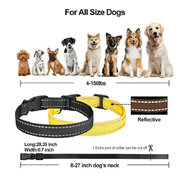 Fashion Necklace Style Personalized Dog & Cat Collar