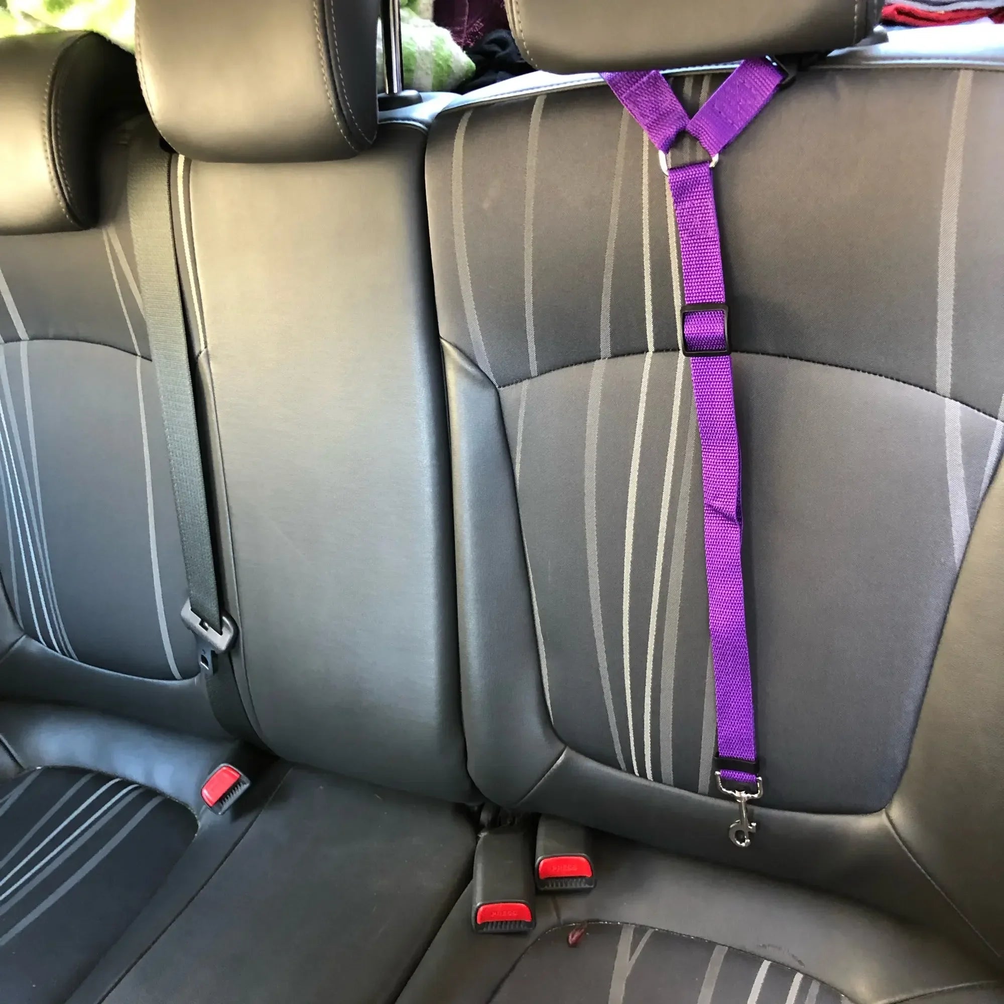 2-in-1 Adjustable Solid Color Nylon Safety Pet Car Seat Belt & Leash