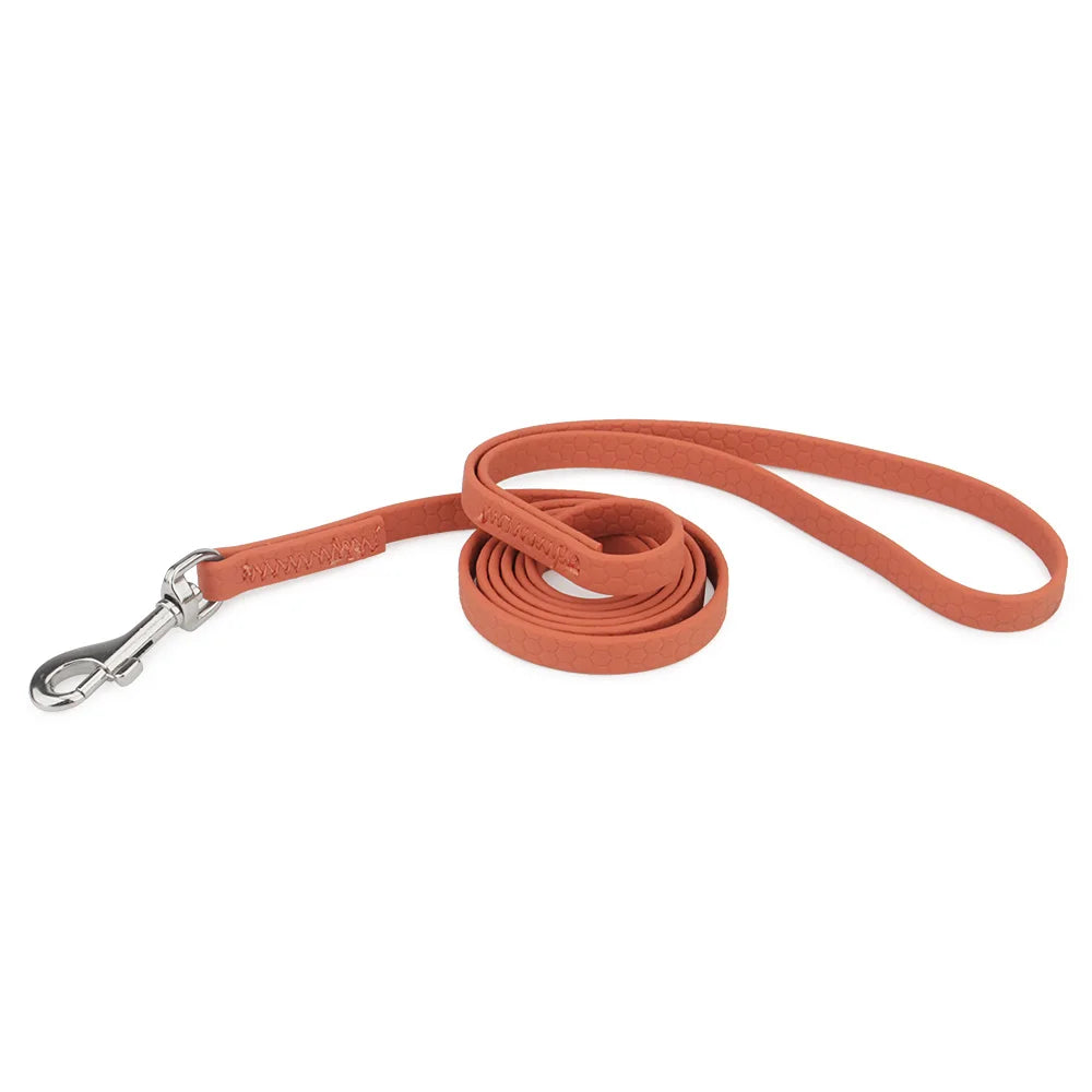 Anti-Lost Guide Rope Short Pet Leash