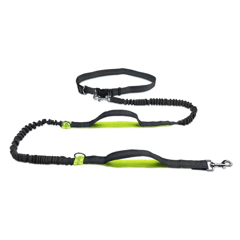 Extendable Pet Leash Dual Head with LED Light for Dogs & Cats