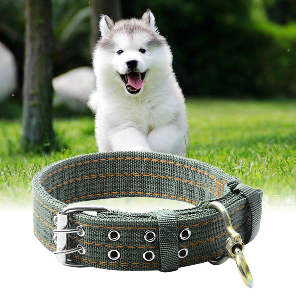 Heavy-Duty Army Green Double-Breasted Dog Collar