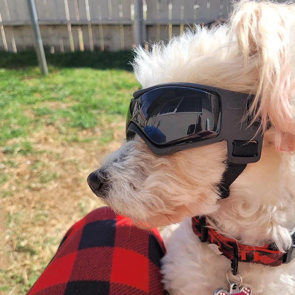 Pet UV Protection Goggles Adjustable Sunglasses for Dogs & Cats