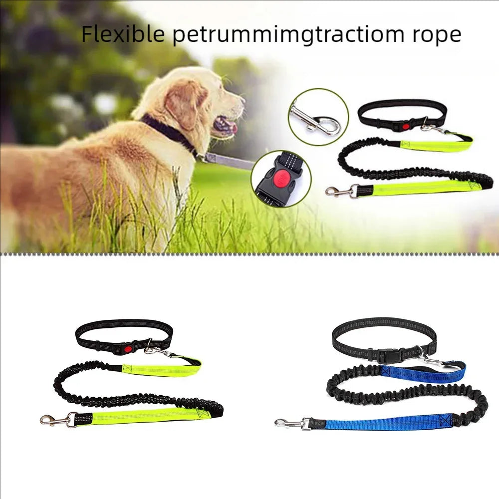 Elastic Running Belt with Metal D-Ring Hands-Free Reflective Dog Leash