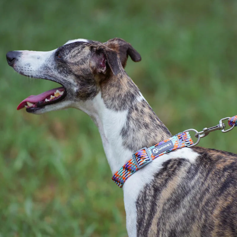 Adjustable with Metal & Quick-Release Buckle Reflective Nylon Dog Collar