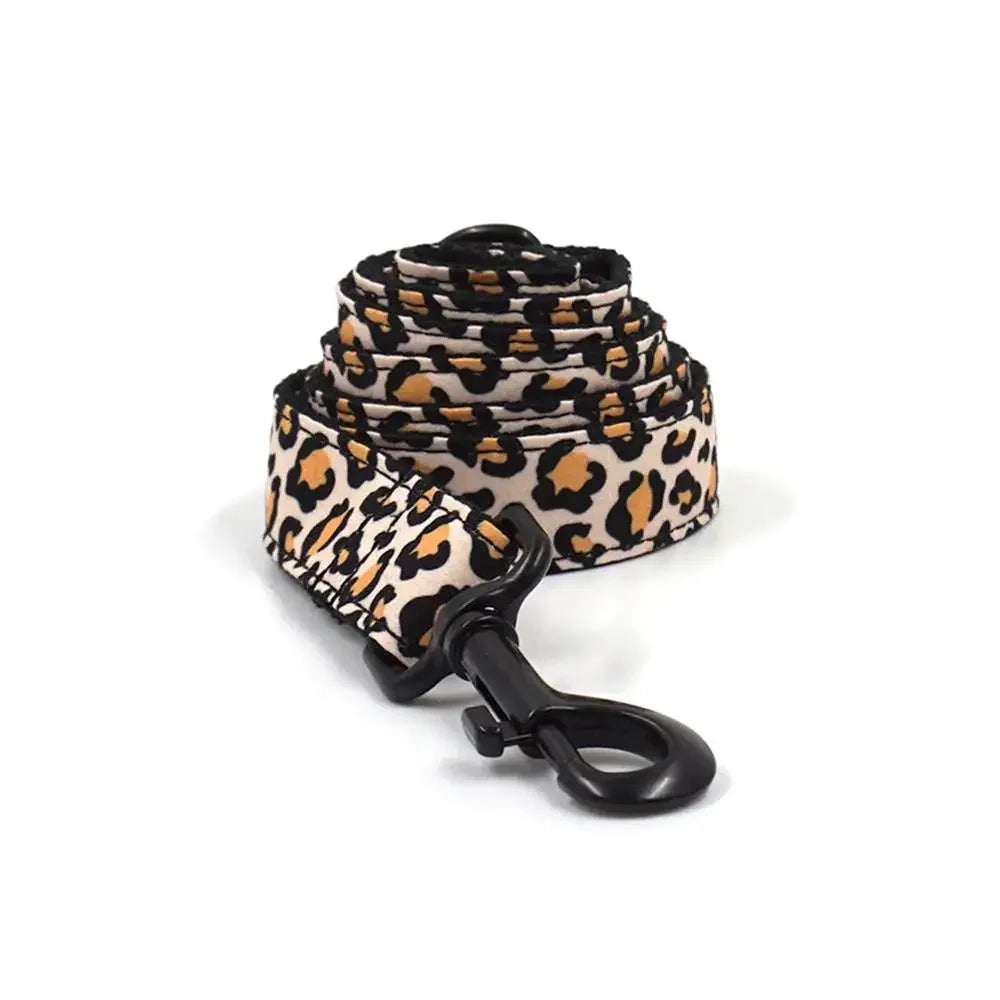 Personalized Leopard Print Dog Collar with Custom Nameplate & Matching Leash