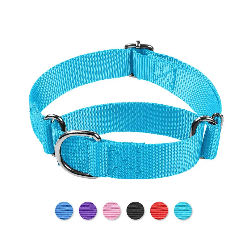 Adjustable Nylon Training Heavy-Duty Martingale Dog Collar
