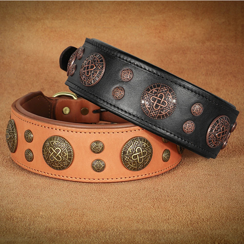 Genuine Leather Spiked Dog Collar for Medium & Large Breeds