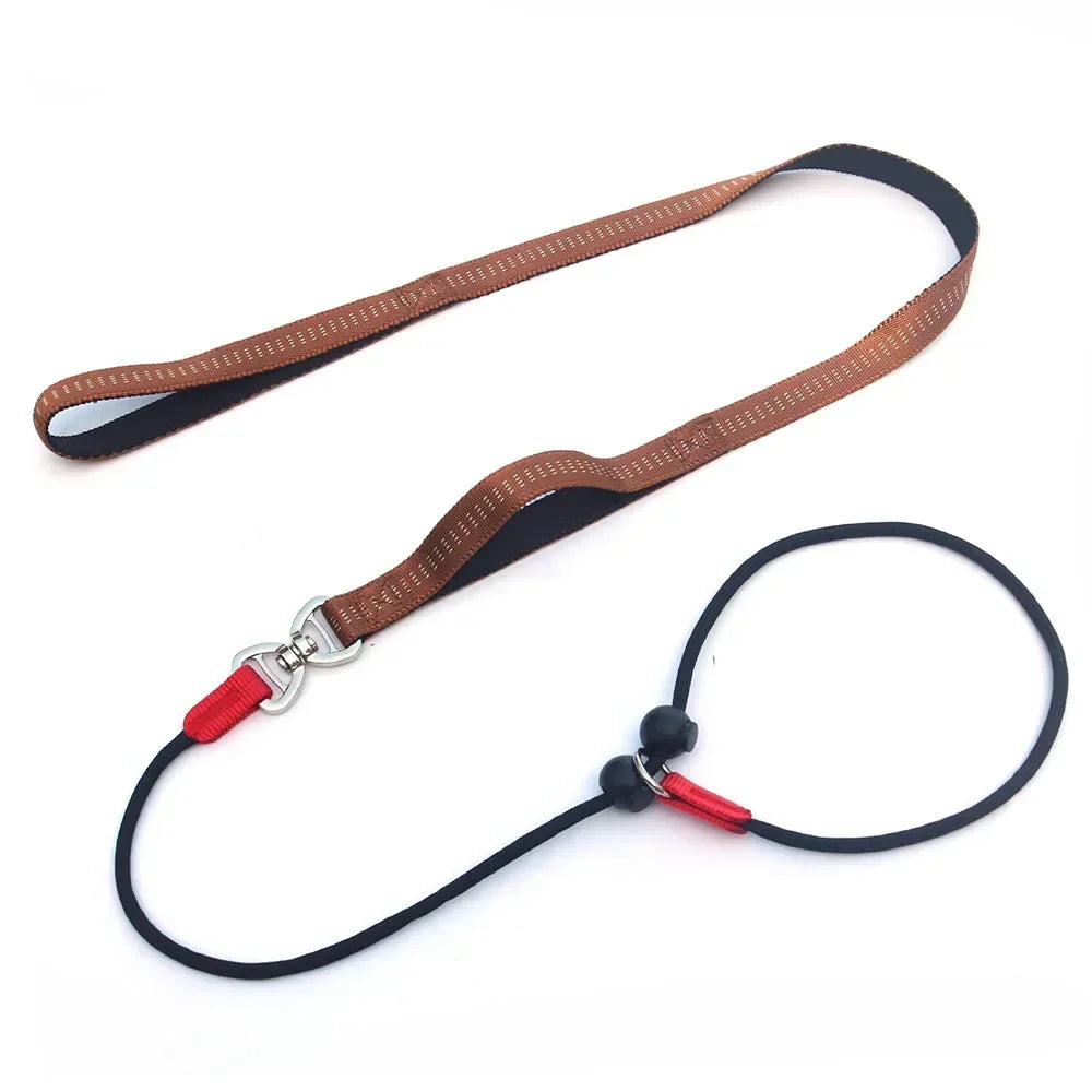150cm Adjustable Reflective Nylon Slip Lead with P Chain Collar Leash