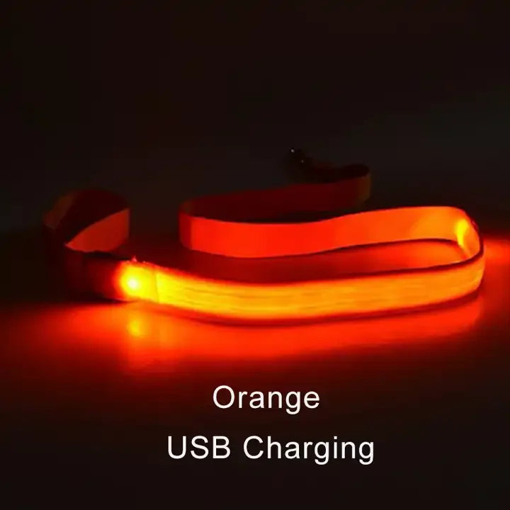 Luminous Flashing Rope Lead LED Light-Up Dog Leash