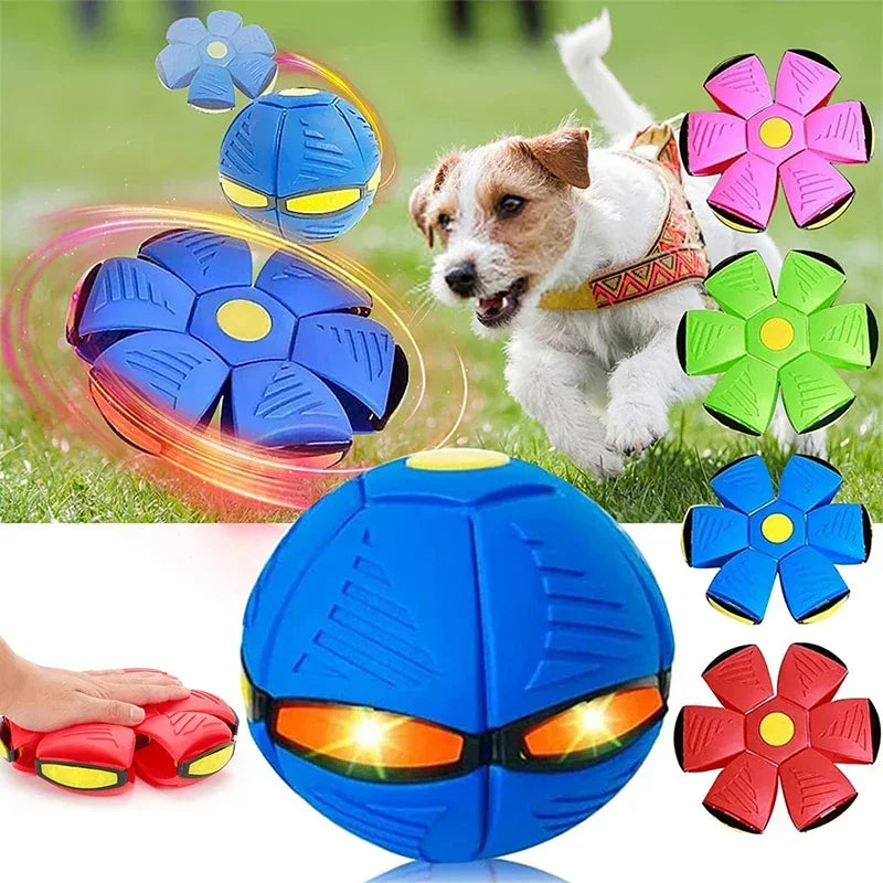Interactive Dog Disc Toy Light-Up Flying Saucer for Outdoor Play