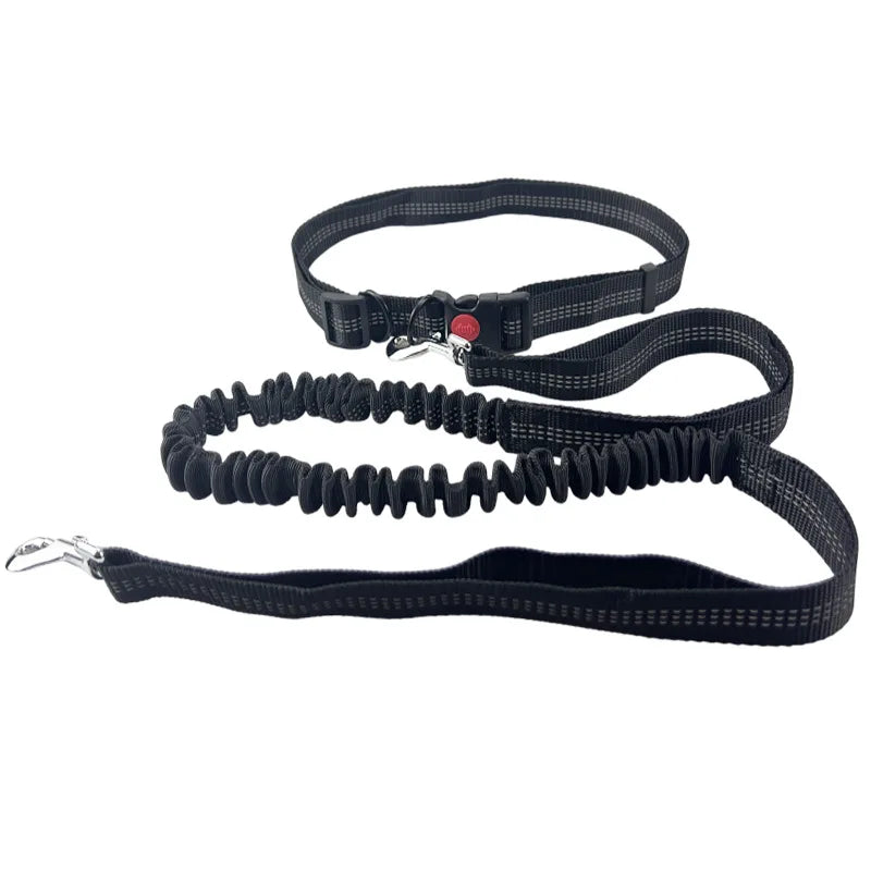 Hands-Free Adjustable Dog Leash with Waist Belt and Chest Strap