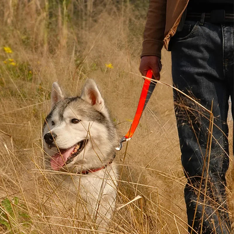 Durable Chew Spring Short Dog Leash with PU Leather Handle