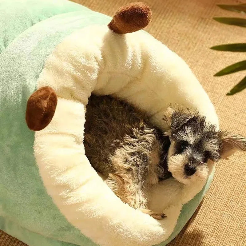 Cozy Slipper-Style Warm, Foldable & Washable House Pet Bed