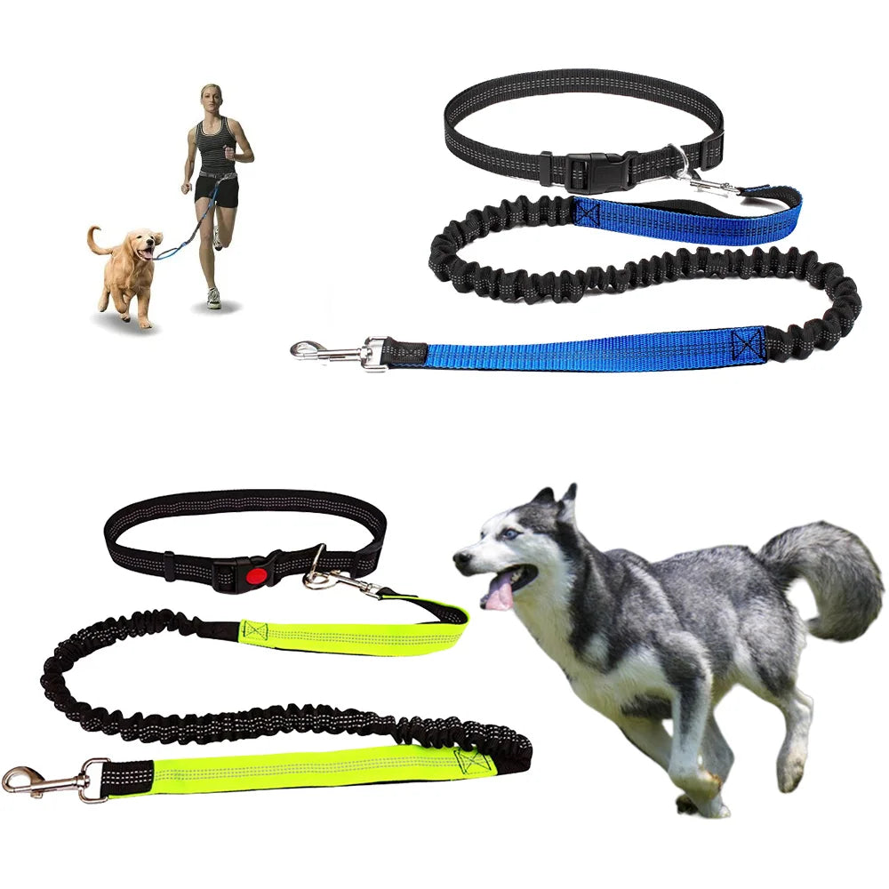 Elastic Running Belt with Metal D-Ring Hands-Free Reflective Dog Leash