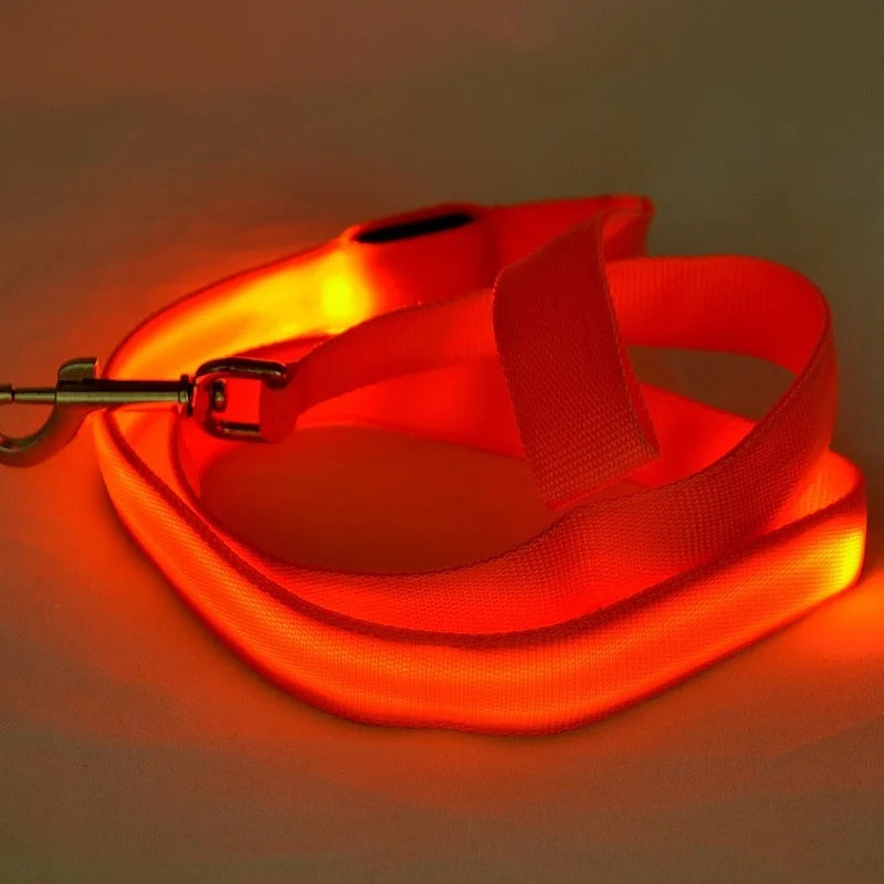 Luminous Flashing Rope Lead LED Light-Up Dog Leash
