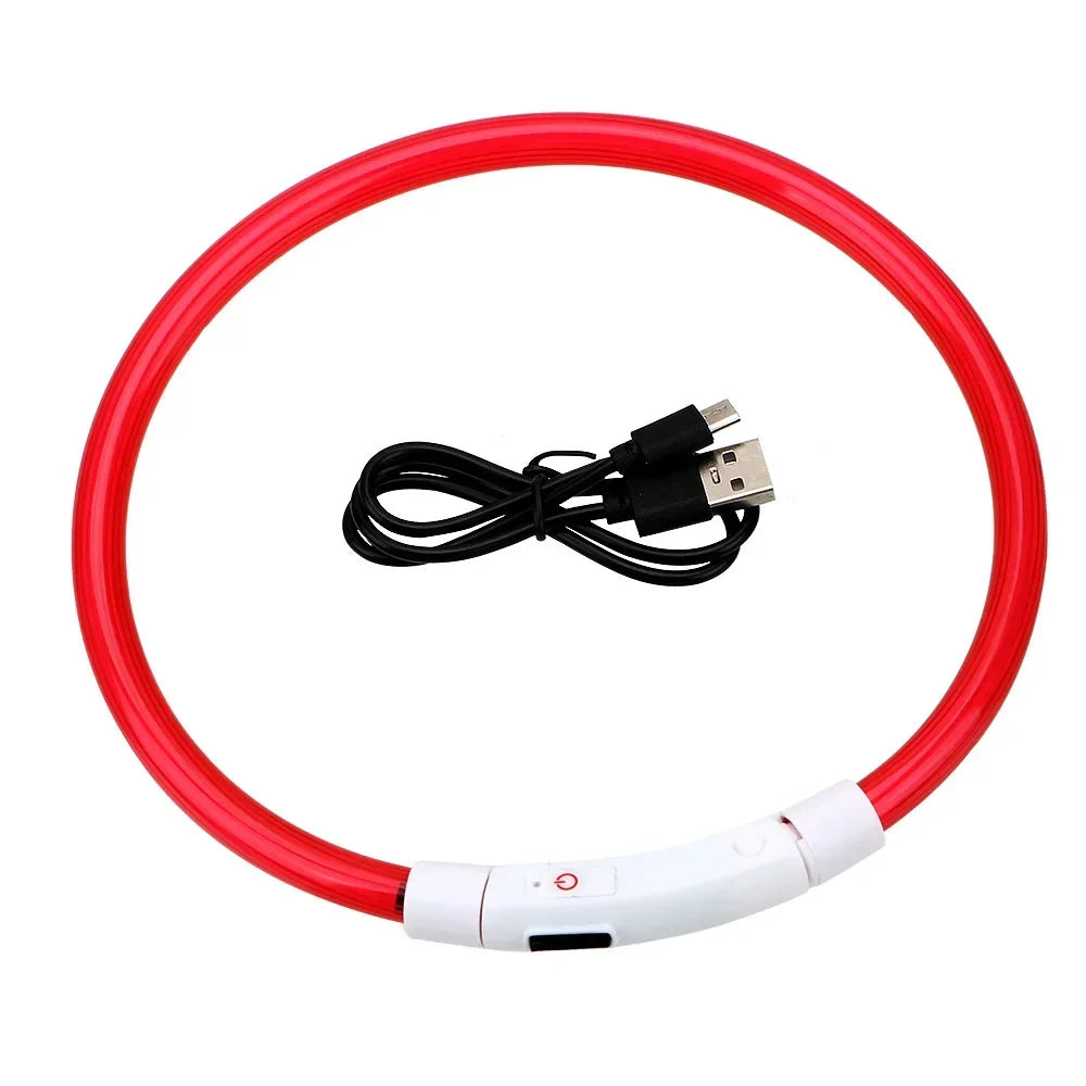 LED Light Dog Collar with Detachable USB Rechargeable Glowing Collar