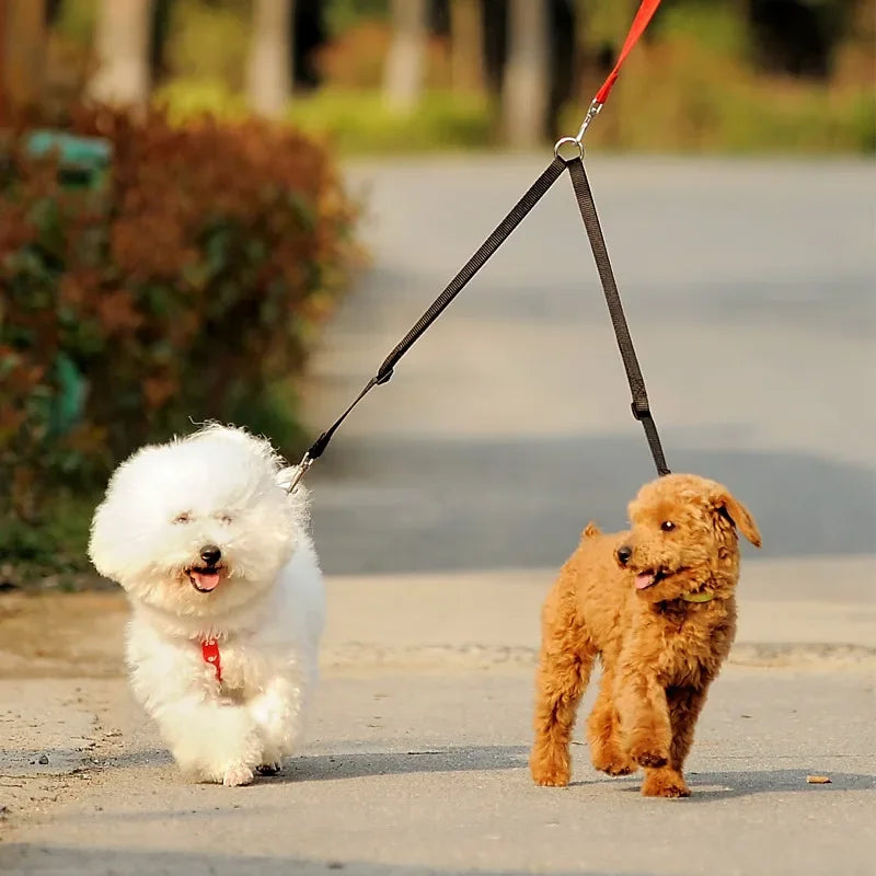 Twin Lead for Walking Outdoor Double Dog Leash