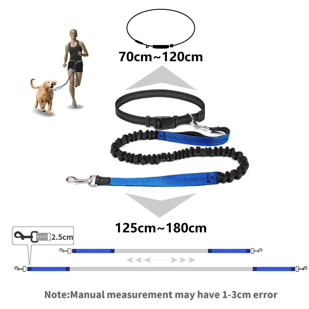 Elastic Running Belt with Metal D-Ring Hands-Free Reflective Dog Leash