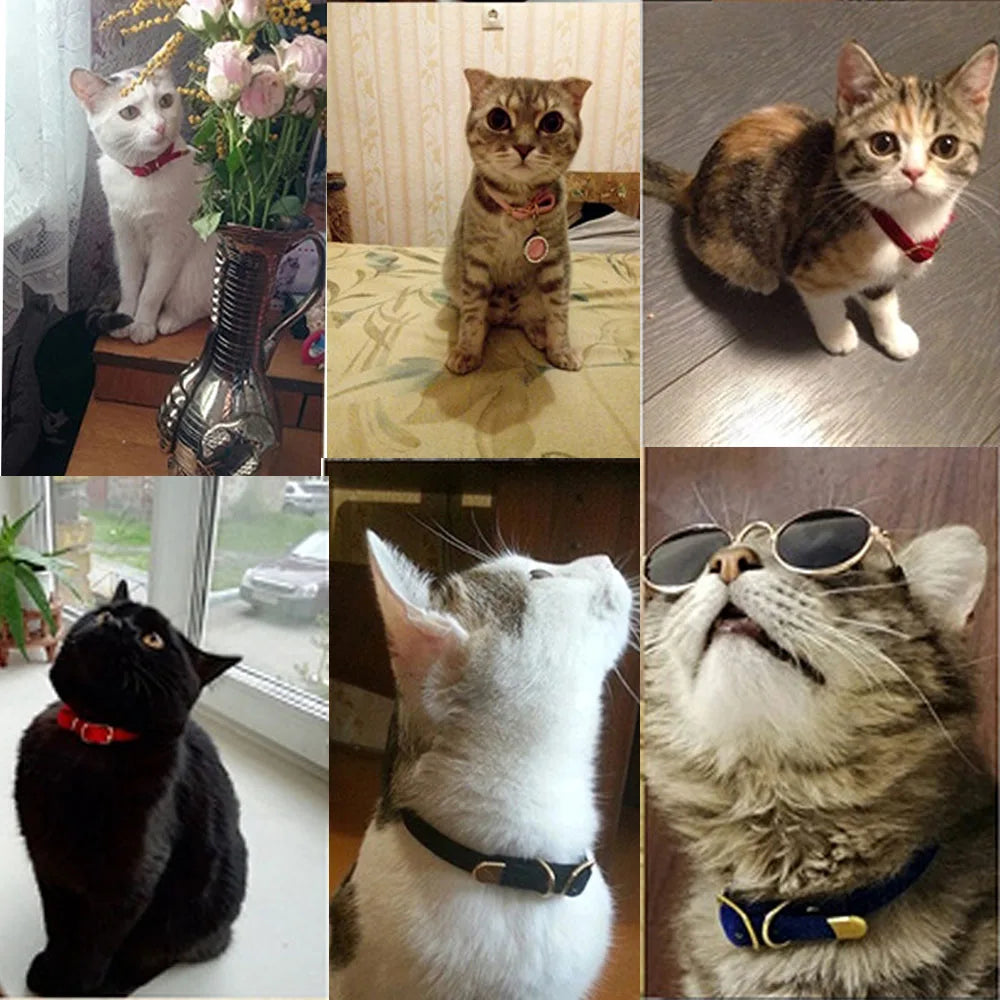 Cat Collar with Bell Safety Collar for Small Dogs & Kittens
