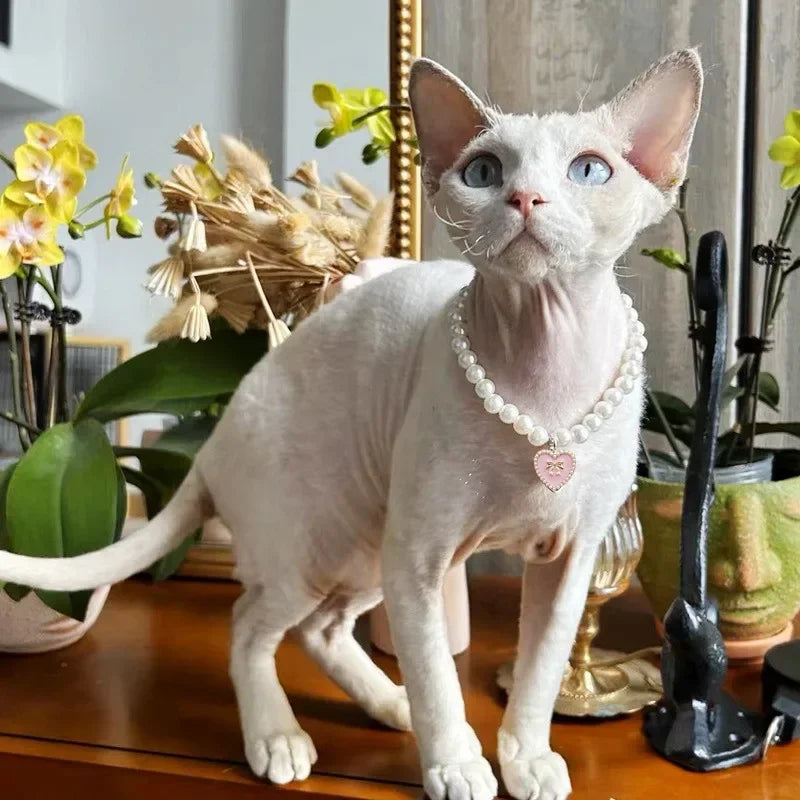 Cute Cat & Puppy Necklace for Weddings and Special Occasions Pearl Bow Pet Collar