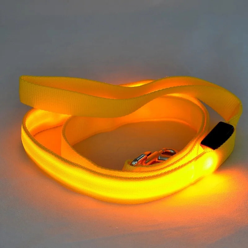 Luminous Flashing Rope Lead LED Light-Up Dog Leash