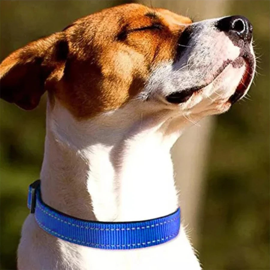 Soft Padded, Breathable Safety Adjustable Reflective Dog Collar