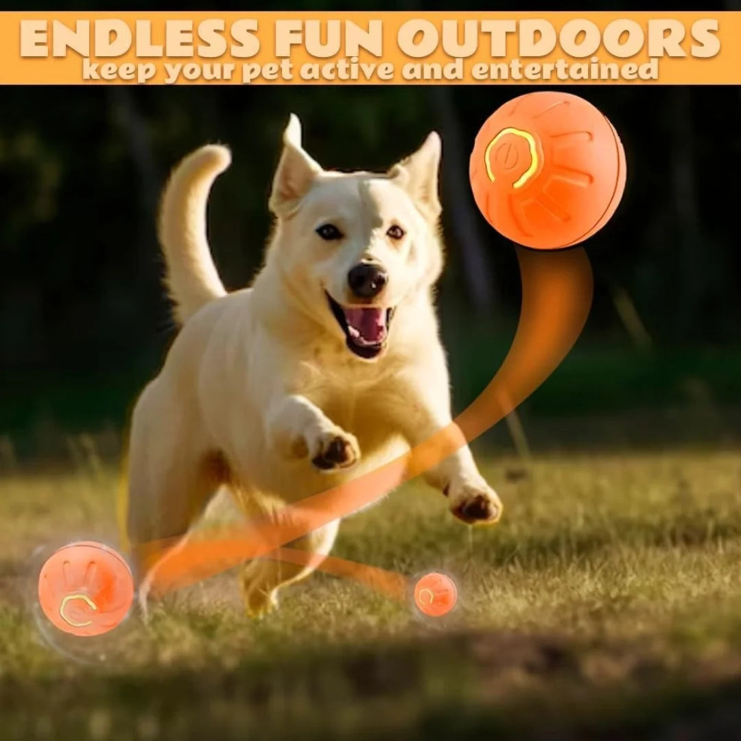Smart Gravity Bouncing Ball Interactive Toy for Dogs & Cats