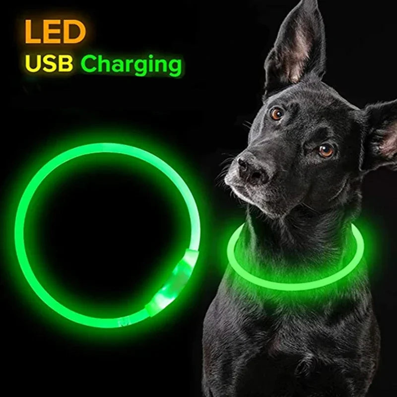 LED Light Dog Collar with Detachable USB Rechargeable Glowing Collar