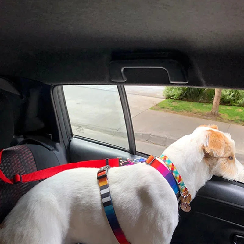 2-in-1 Adjustable Solid Color Nylon Safety Pet Car Seat Belt & Leash