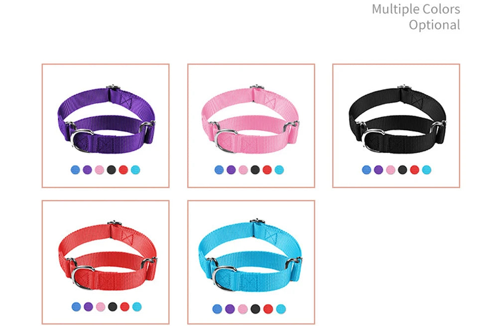 Adjustable Nylon Training Heavy-Duty Martingale Dog Collar