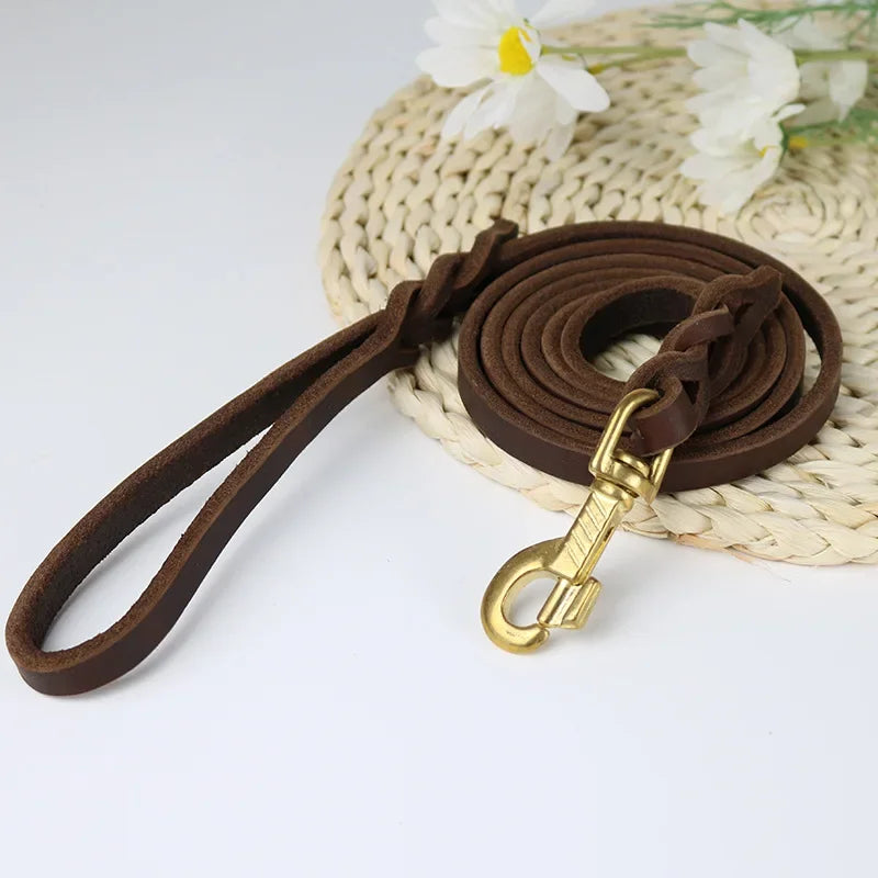 Braided Long Training Genuine Leather Dog Leash