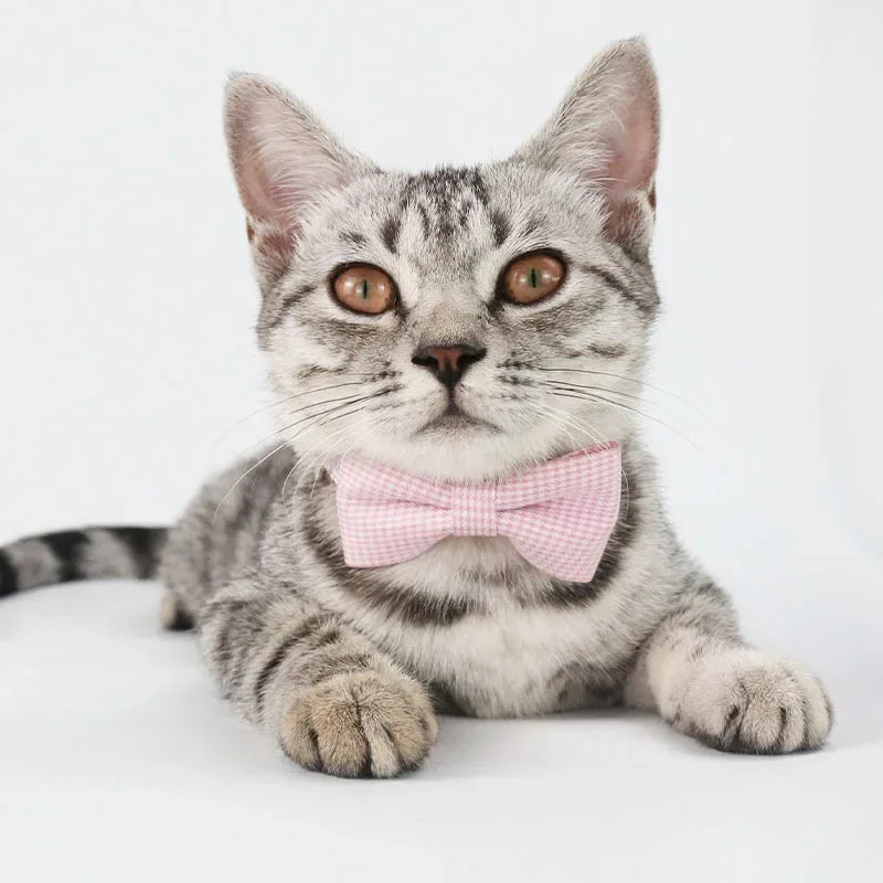 Bow Tie Stylish Necklace Adjustable Cute Cat Collar