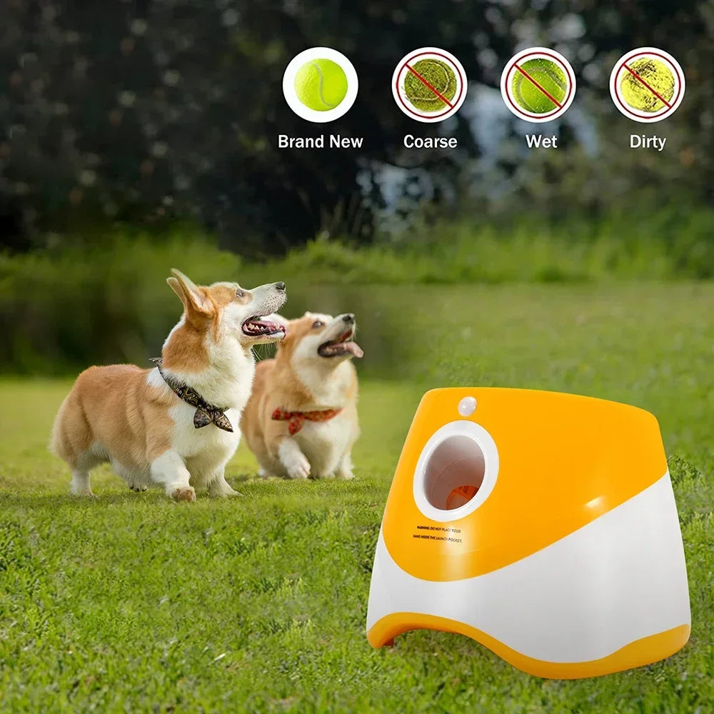 Smart Dog Ball Launcher Adjustable Distance, Indoor/Outdoor Play