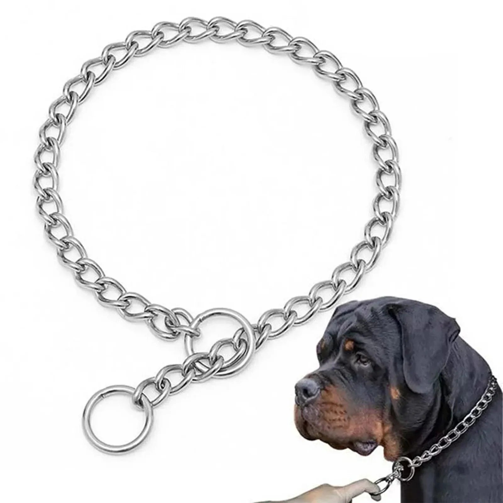Heavy-Duty Metal Dog Training Choke Chain Collar