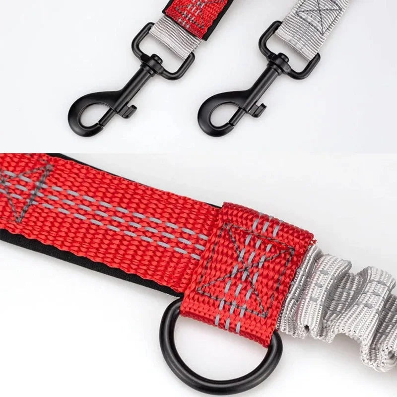 Extendable Pet Leash Dual Head with LED Light for Dogs & Cats