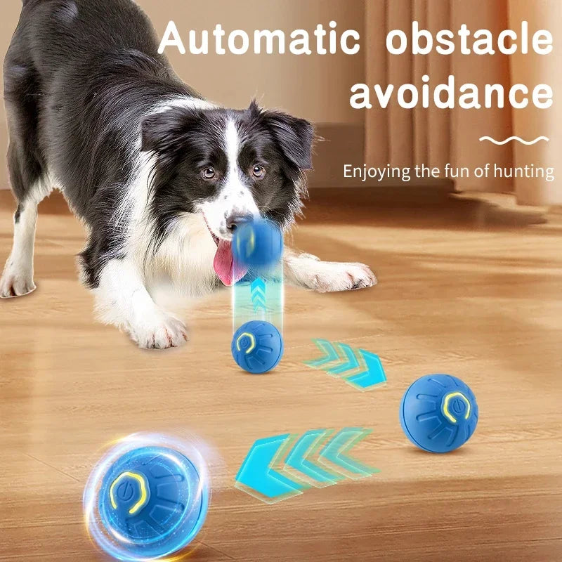 Smart Interactive Pet Toy USB Bouncing Toy for Dogs & Cats